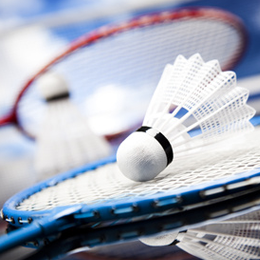 
Briefmarken





des Themas Badminton

'