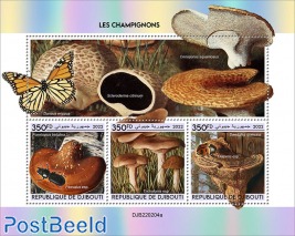 Mushrooms (Fomitopsis betulina, Passalus sp.; Tricholoma sp.; Diaperis sp., Daedalea quercina) Background info: Danaus erippus, Scleroderma citrinum, Cerioporus squamosus [3v 1050 FD]