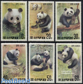 Panda bears 6v