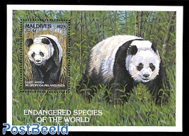Panda bear s/s