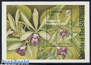 Orchids s/s, Vanilla imperialis