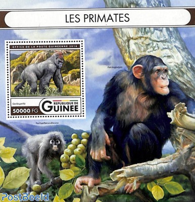 Primates s/s